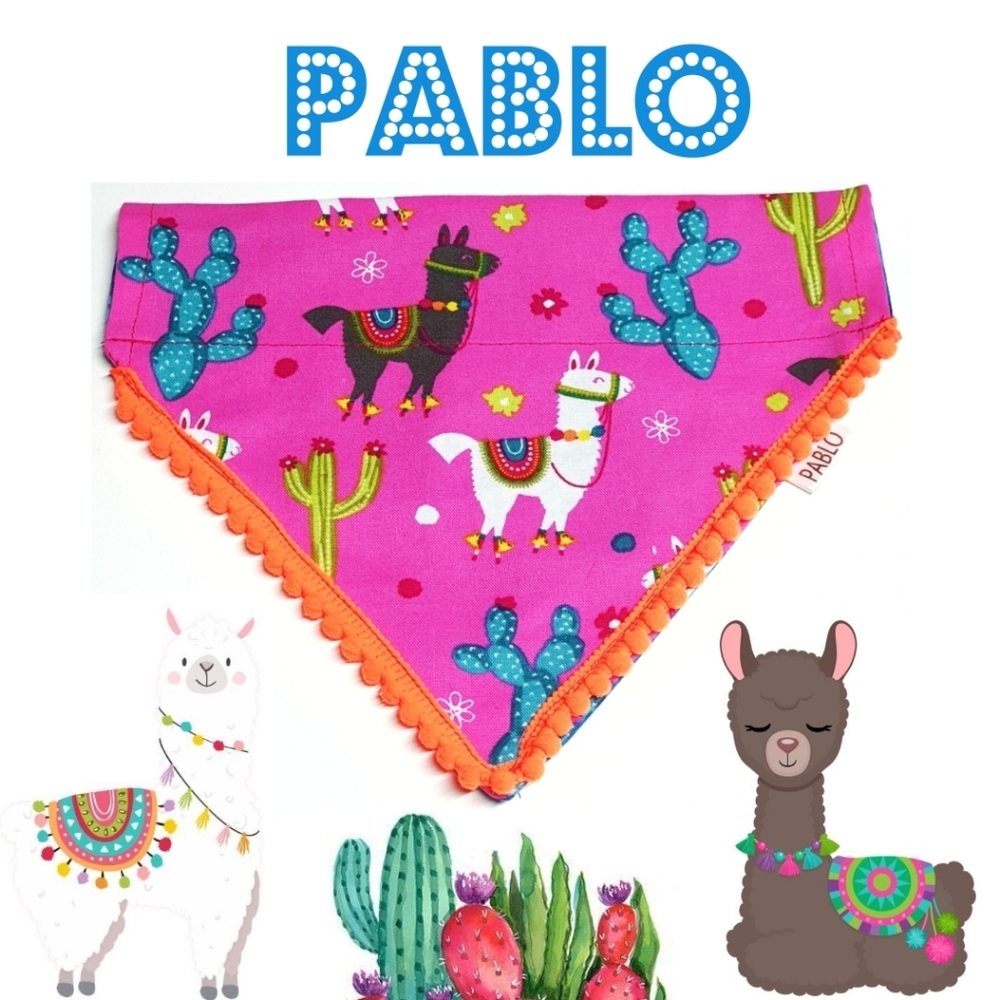 🐶 5 for $15 * Pablo Llama Bohemian Pom Pom Dog Bandana